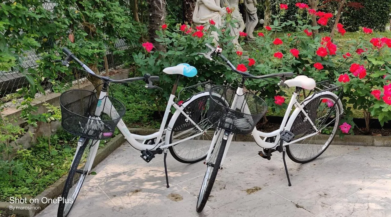 Hotel Villa Delle Palme Venetië-Lido 3*,